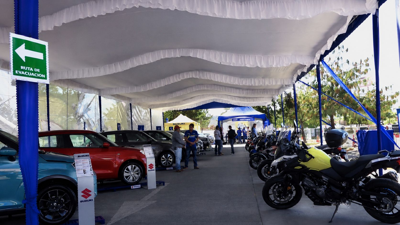 Carpas a la medida