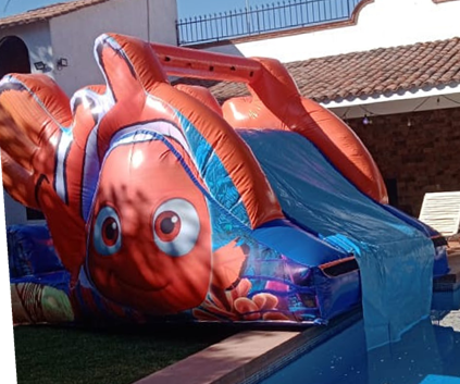 Nemo 7x2.5 (Sin alberca)