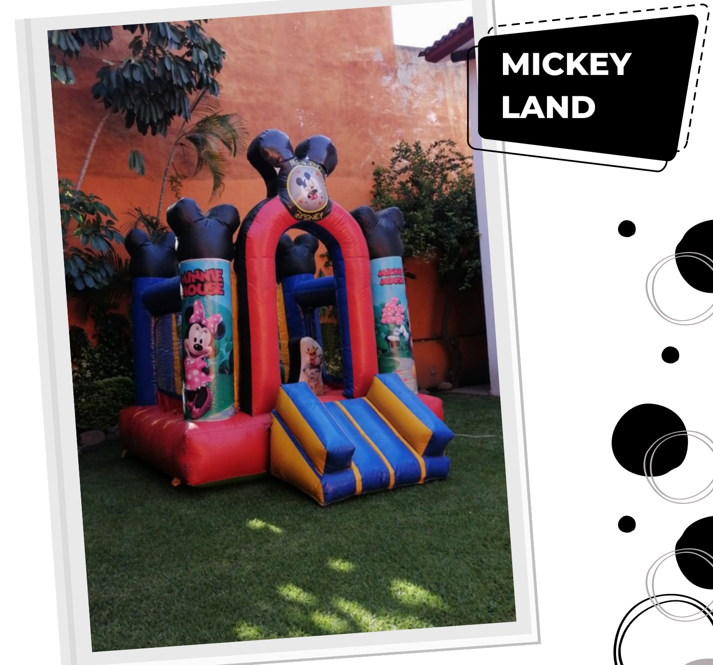 Mickey Land 3x3.5