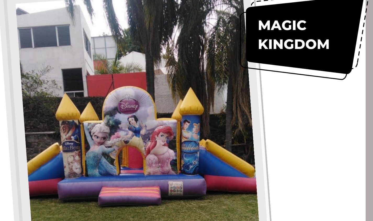 Magic kingdom 6x4 Combos 