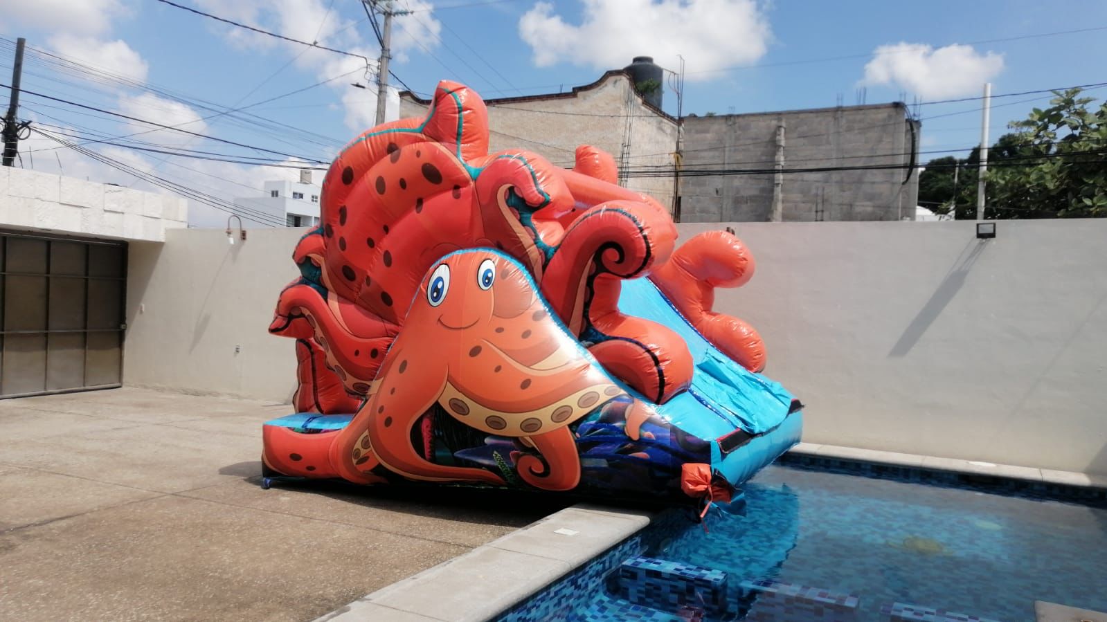 Octupus 6x3 sin alberca 