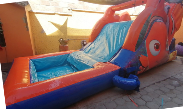 Nemo 7x2.5 (Con alberca)