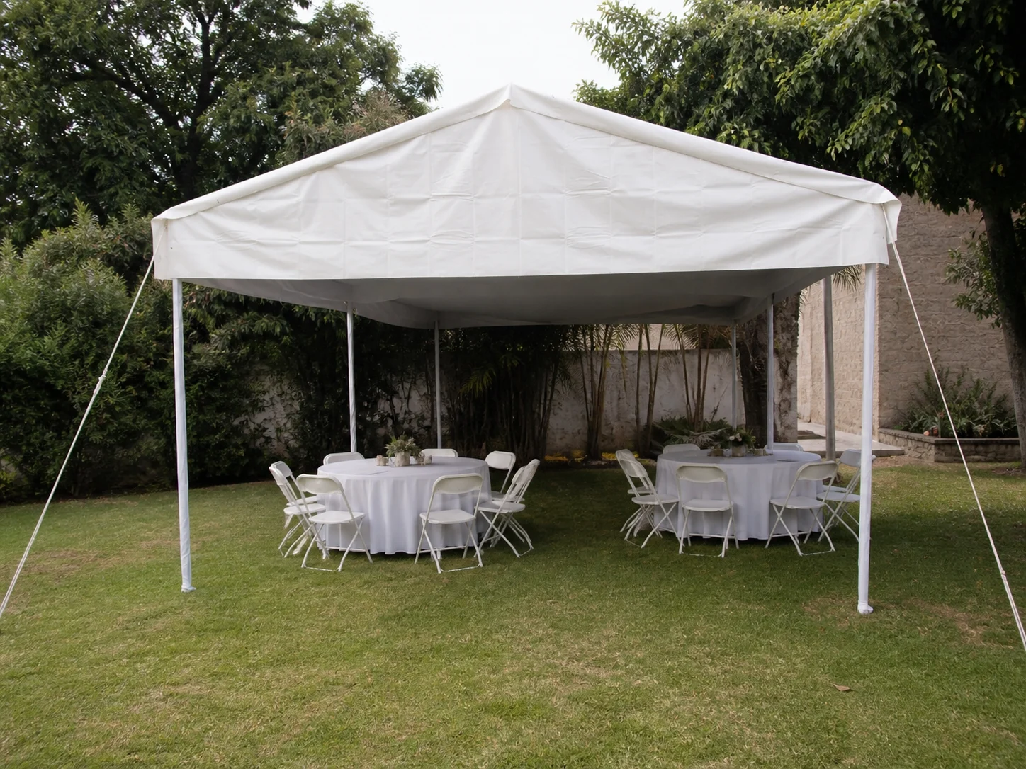 Carpa 6m x 9 m 